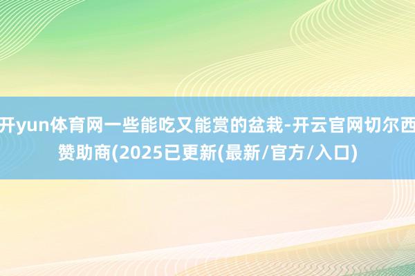开yun体育网一些能吃又能赏的盆栽-开云官网切尔西赞助商(2025已更新(最新/官方/入口)
