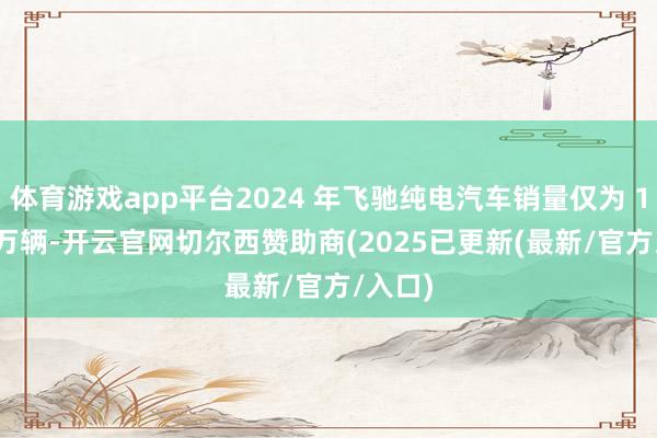体育游戏app平台2024 年飞驰纯电汽车销量仅为 18.51 万辆-开云官网切尔西赞助商(2025已更新(最新/官方/入口)
