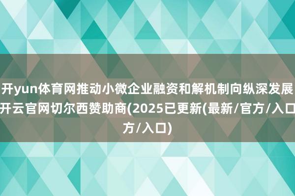 开yun体育网推动小微企业融资和解机制向纵深发展-开云官网切尔西赞助商(2025已更新(最新/官方/入口)